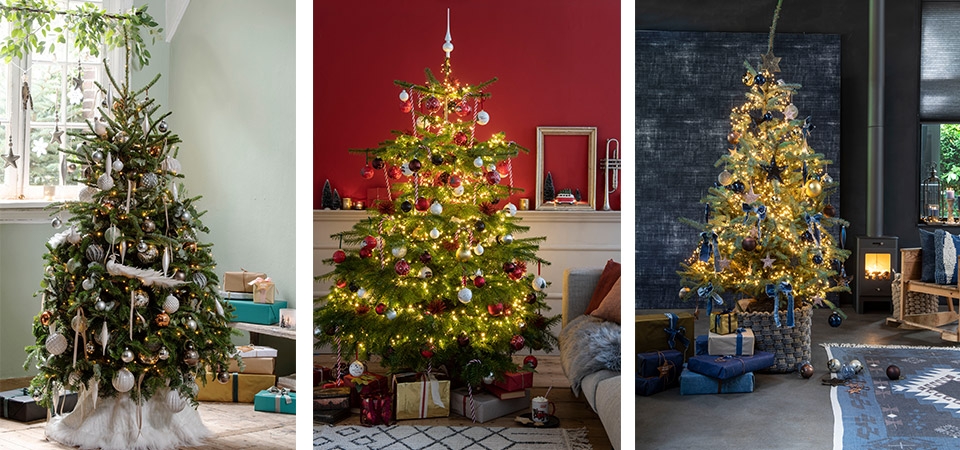Echte kerstboom kopen