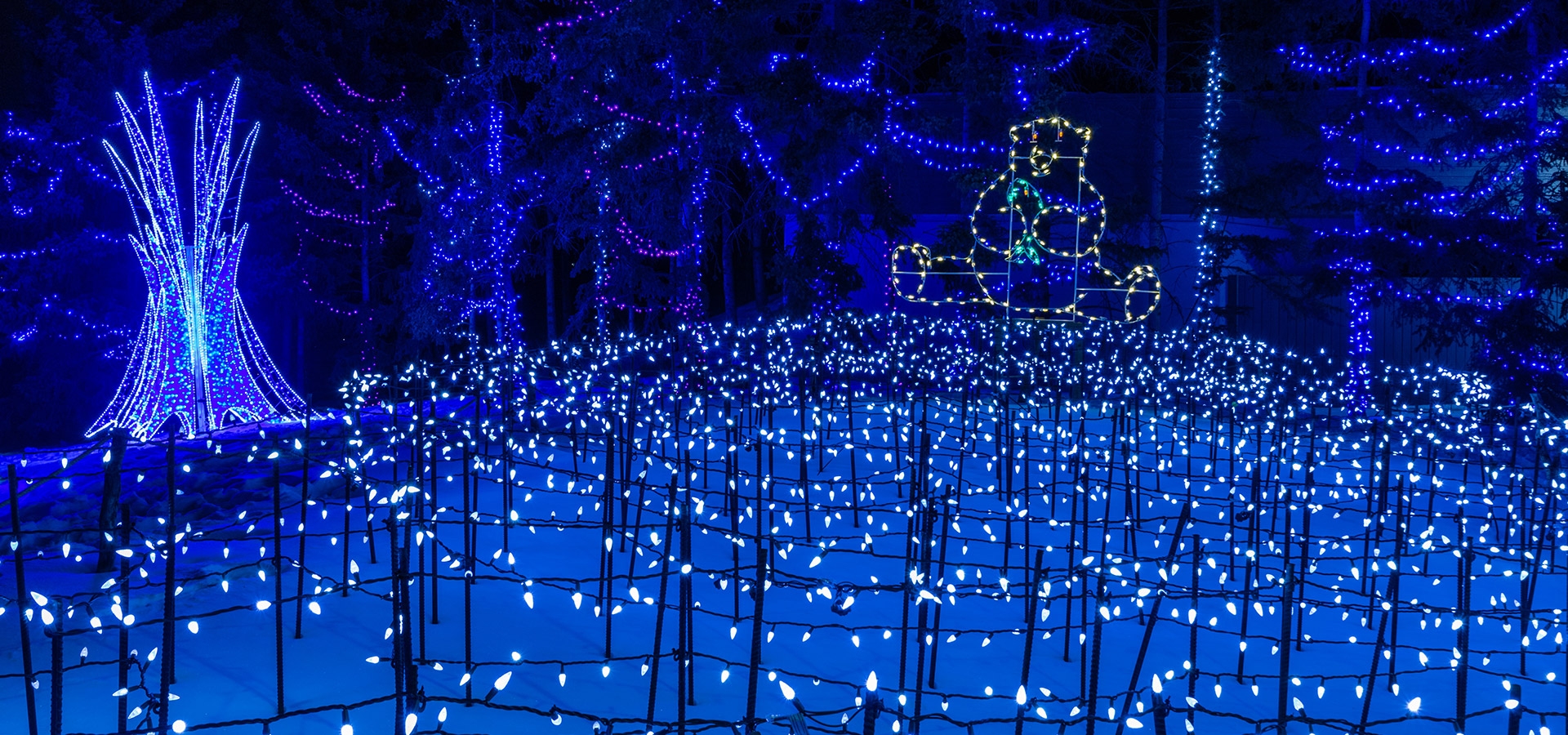Prachtige sfeer verlichting in Calgary Zoo tijdens de kerst periode.