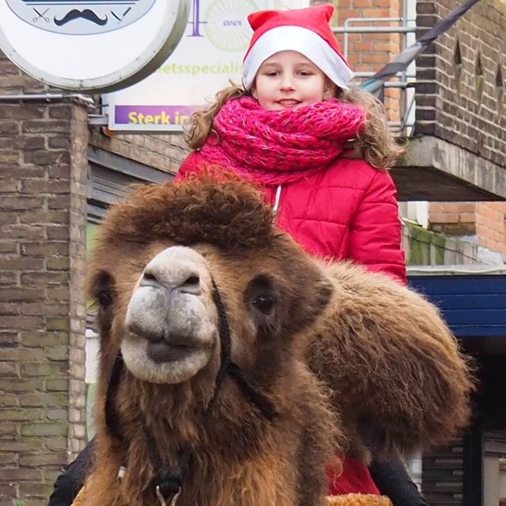  Kerstmarkt Vlaardingen in Vlaardingen